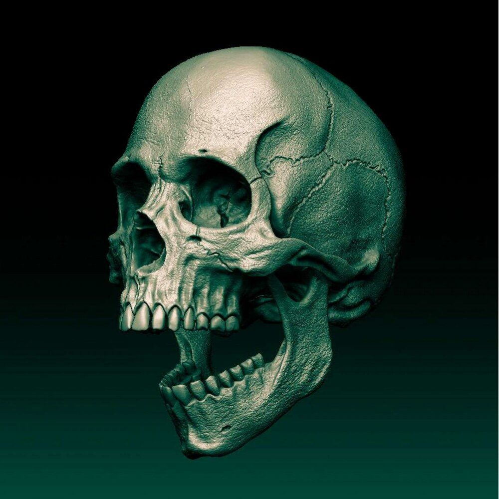 skull (11)