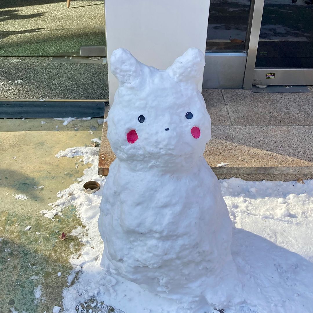 Snow Pika