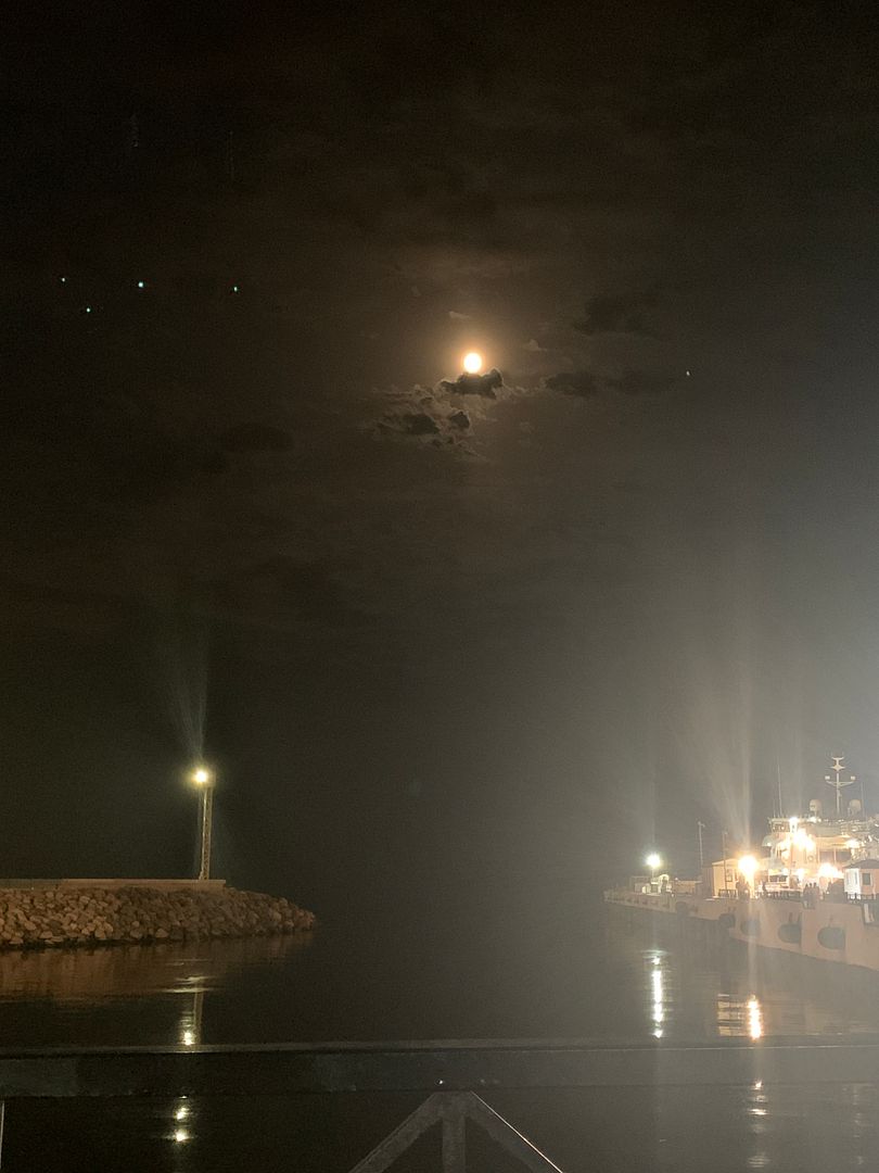 Moon in the Port