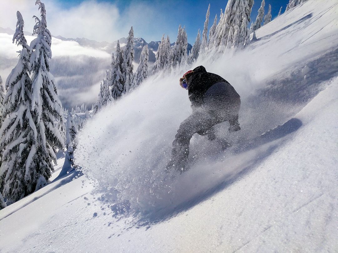 Snowboarding Dreams of Fresh Powder and Sunny Days