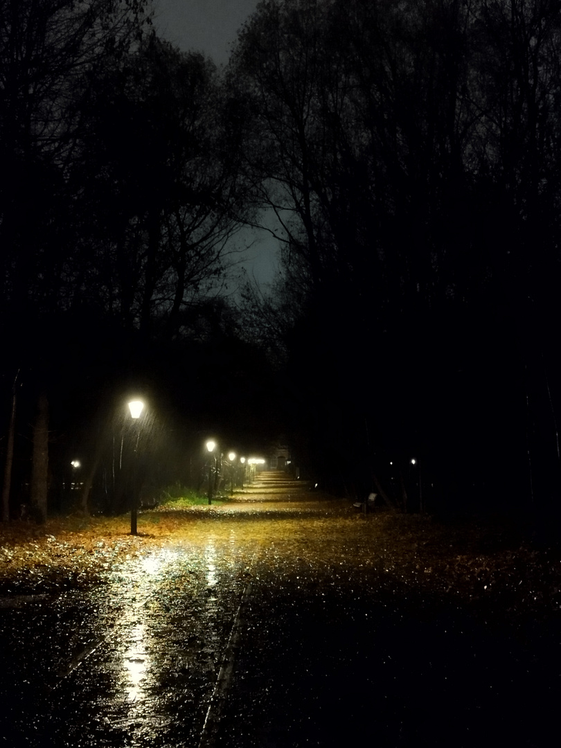 Rainy Dark Park