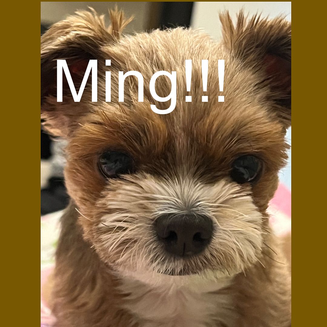 Ming!!!