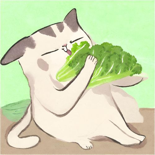 Broccoli Cat Dave