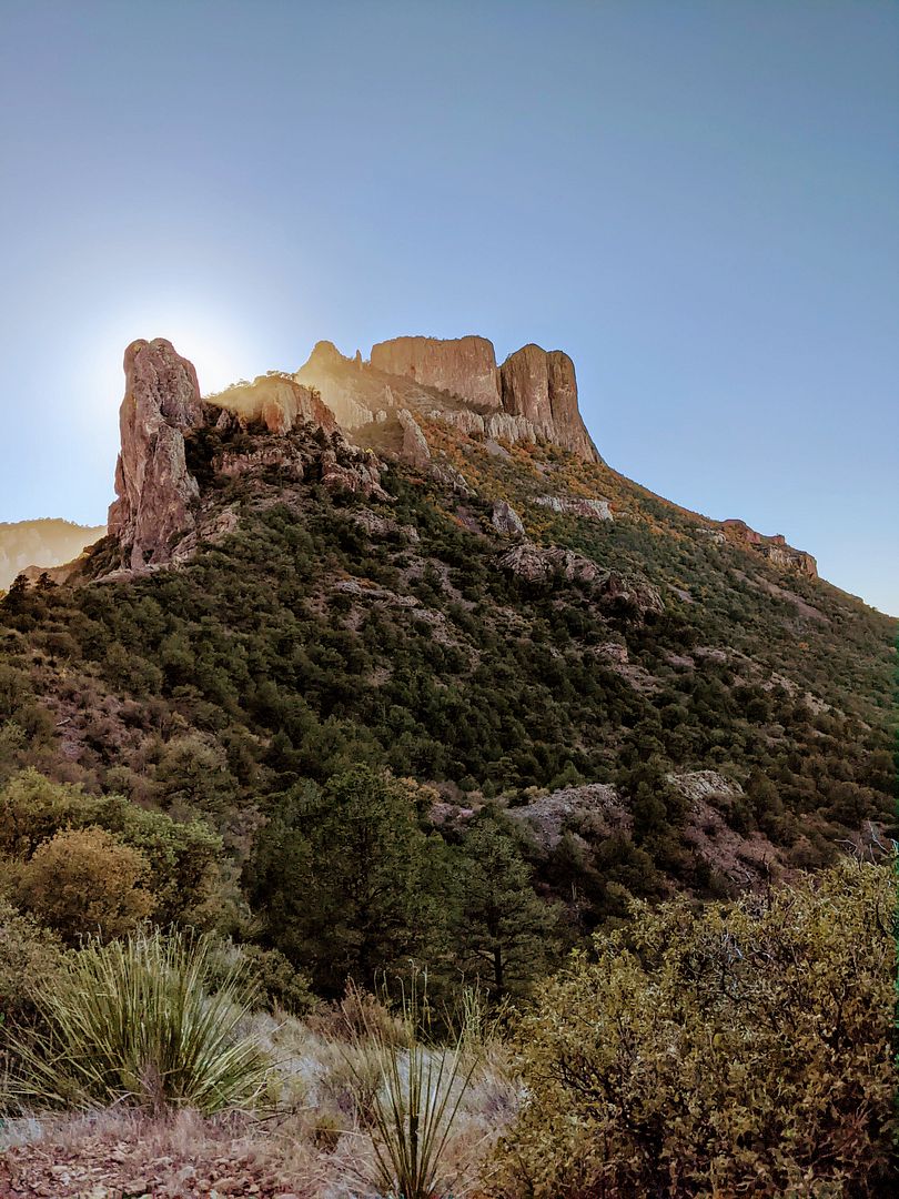 Fall in Chisos Mountains 🍂