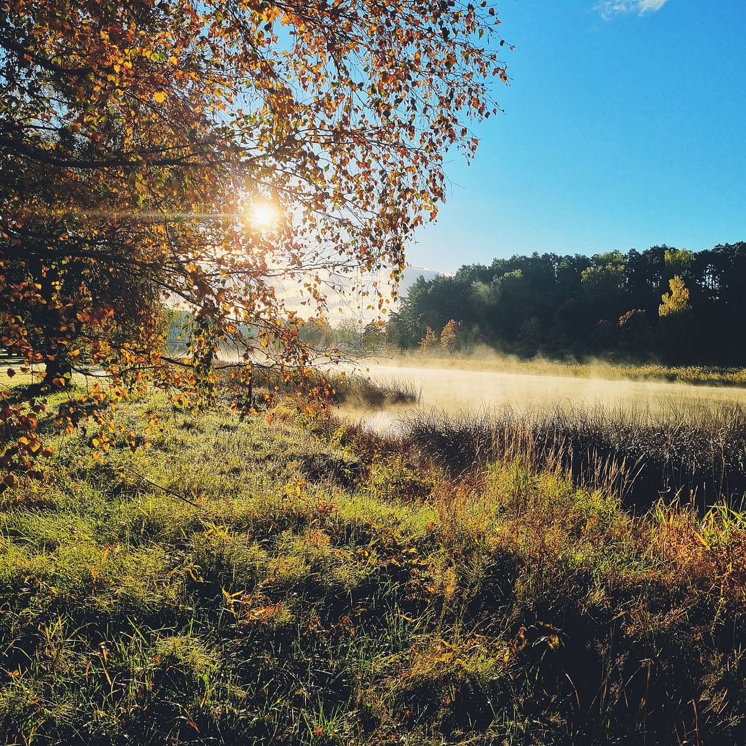 Autumn magic