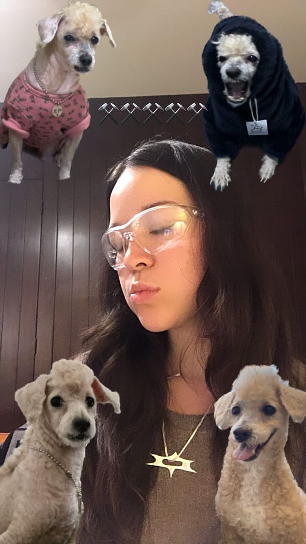 1 like and I clone my dog