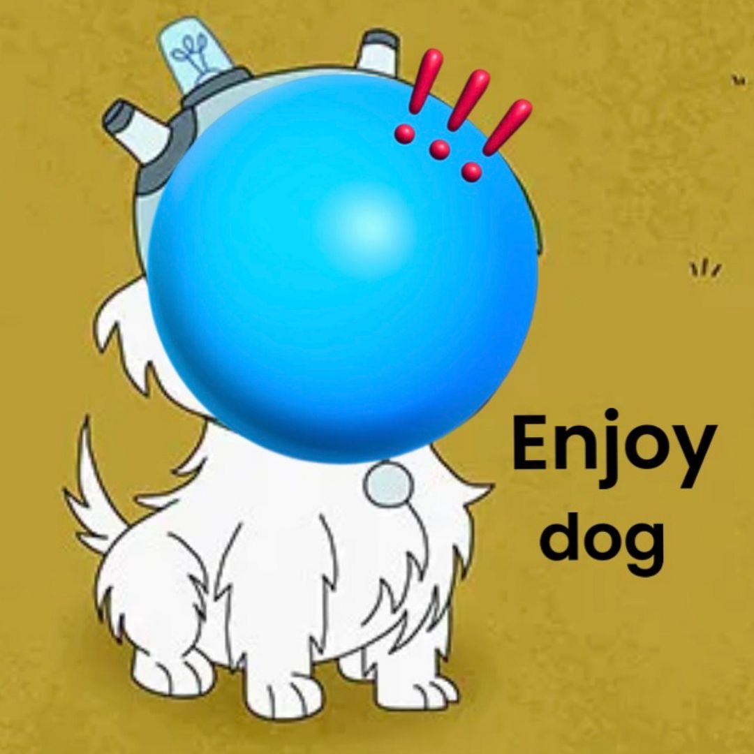 Enjoy dog