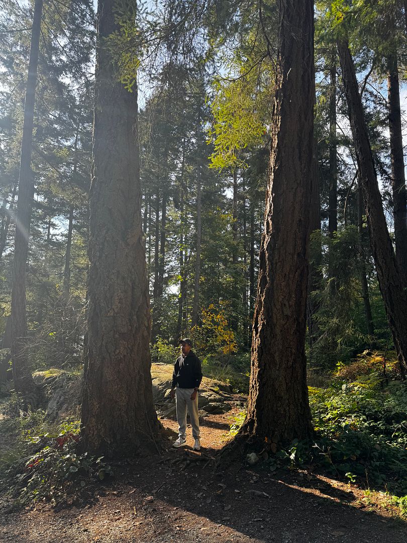 Twin trees