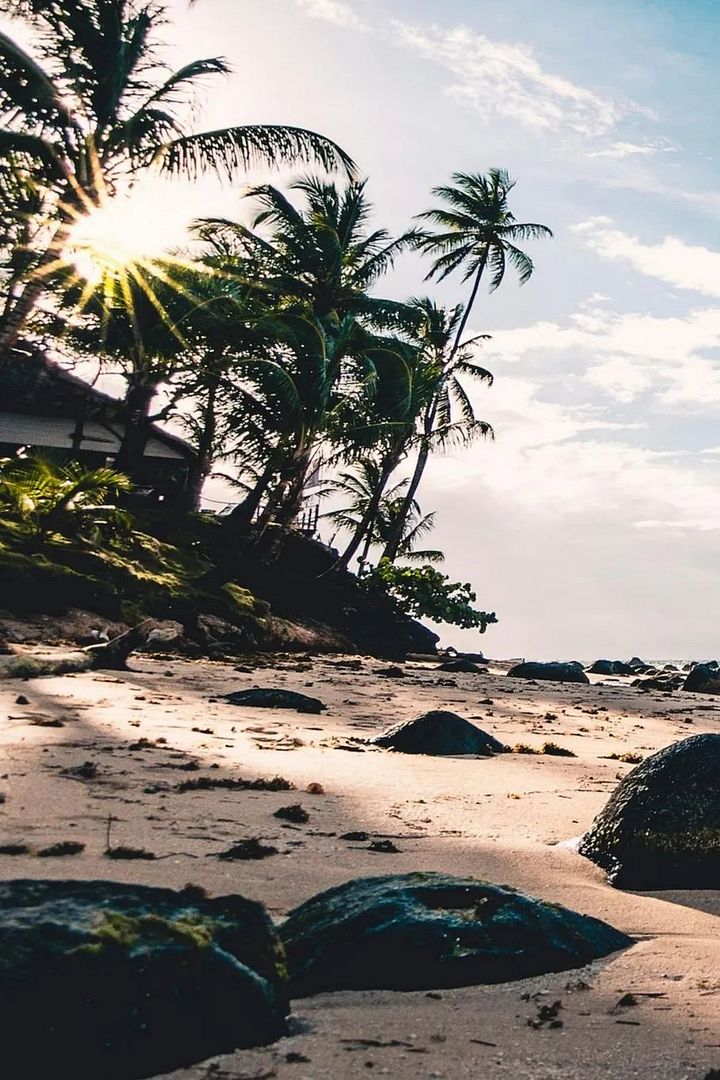 Cocos Island, Seychelles🇸🇨3