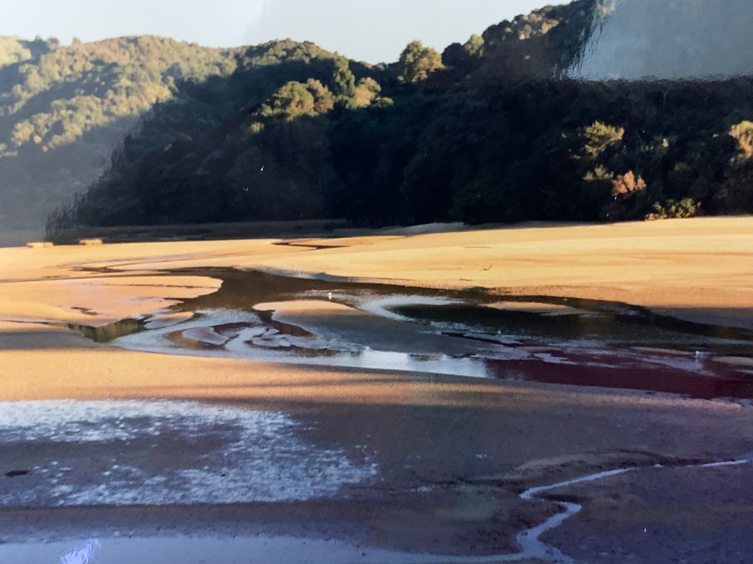 Unexplored region at the northern tip of the South Island, New Zealand