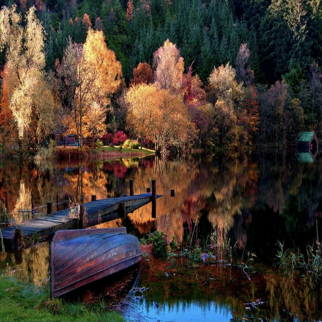 Autumn on the coast