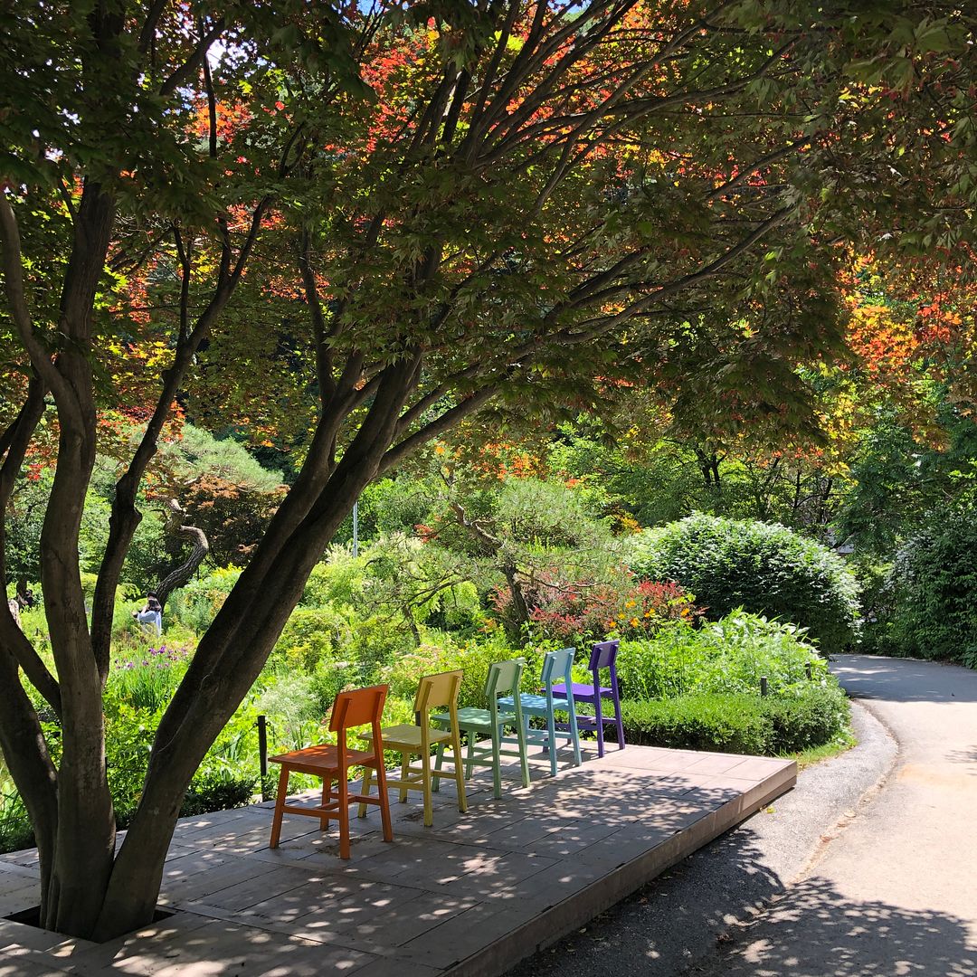 rainbow chairs