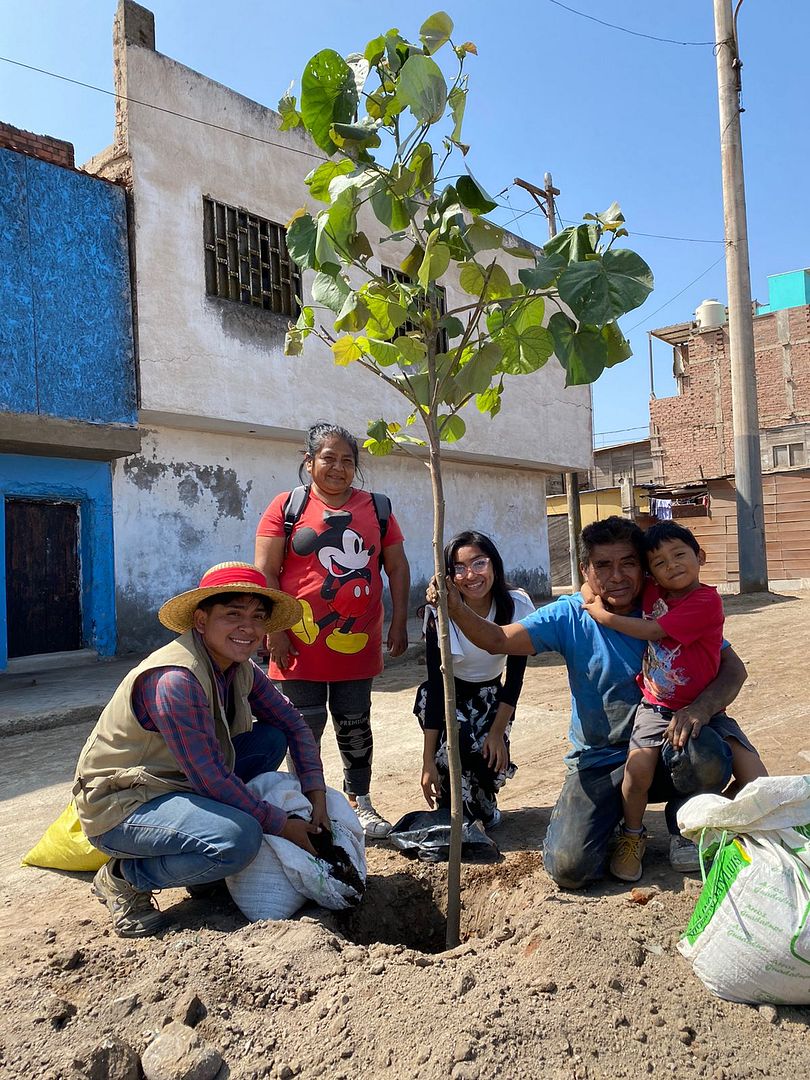 tree donation