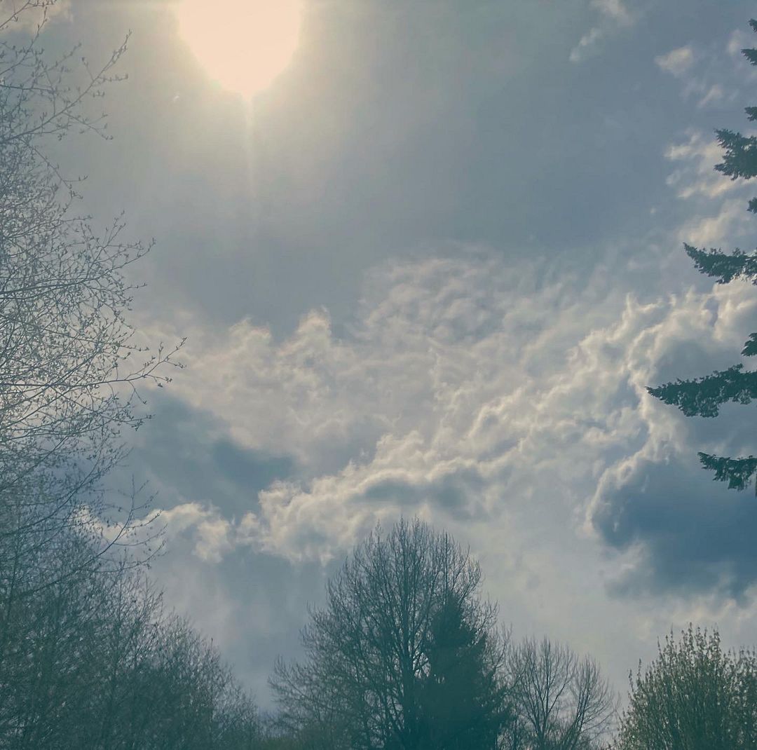 the light thats shines on clouds above the tree line