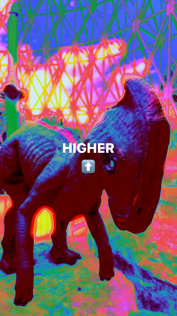 HIGHER #17