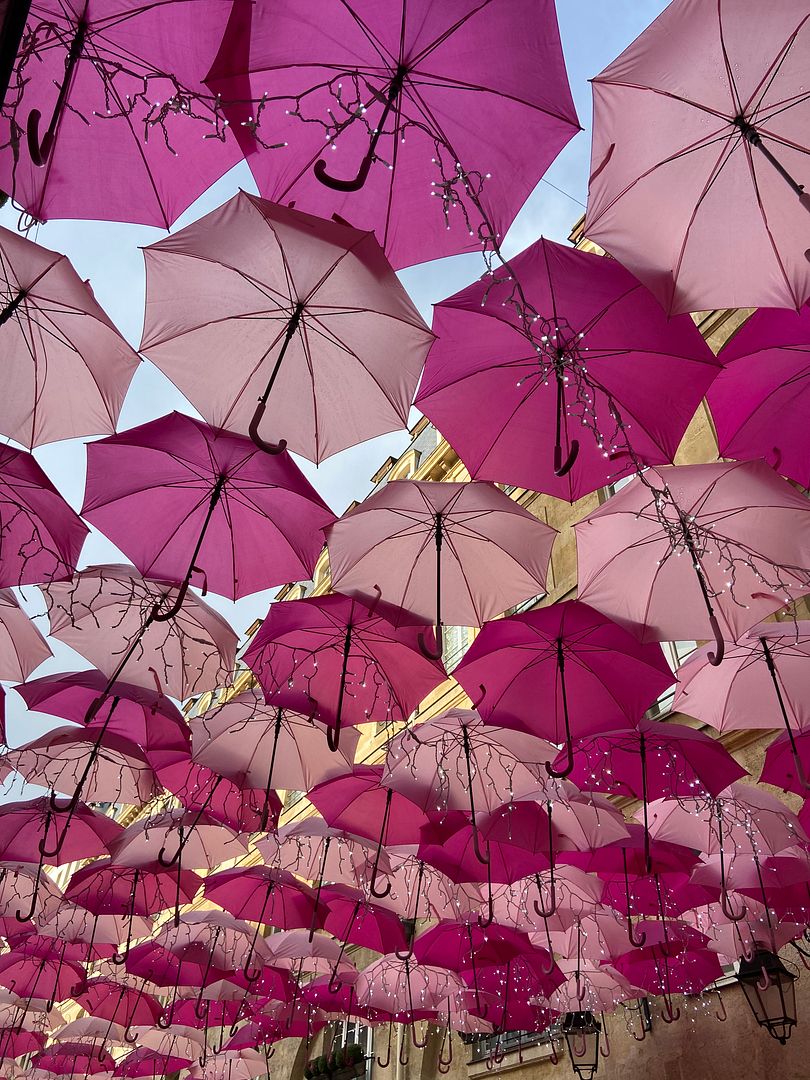 Dior umbrella