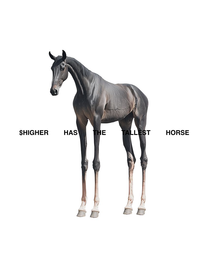 The Tallest Horse