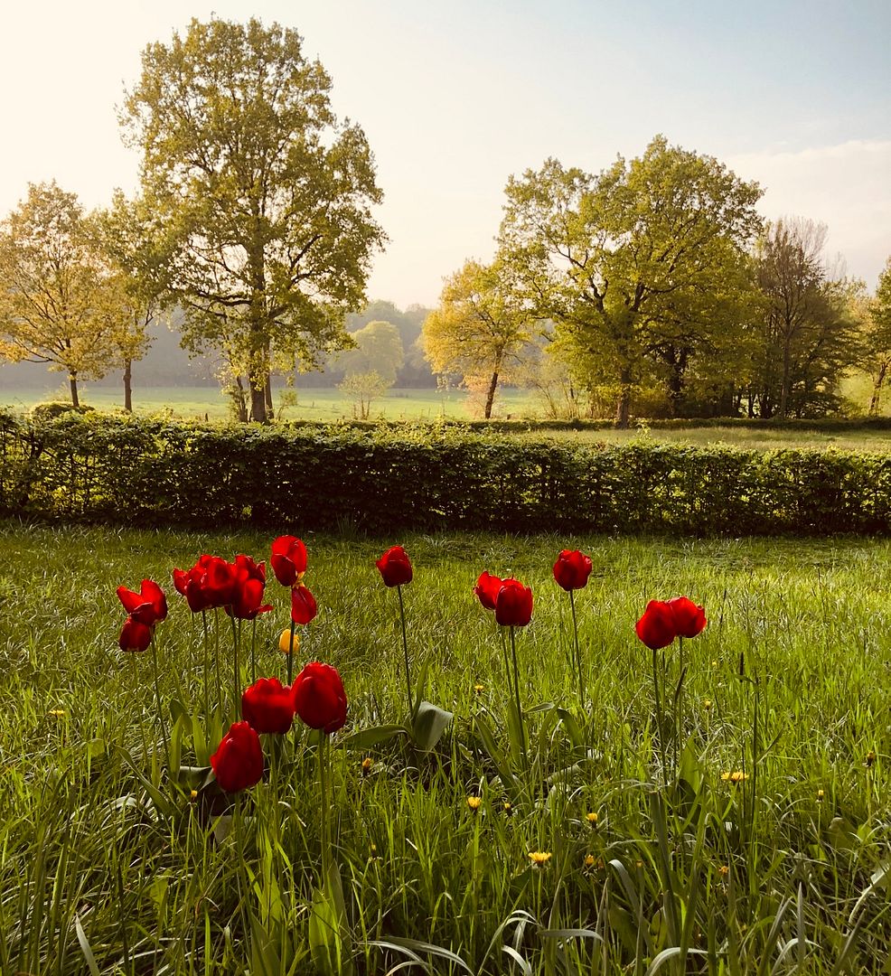 Summer in Springtime - take 1