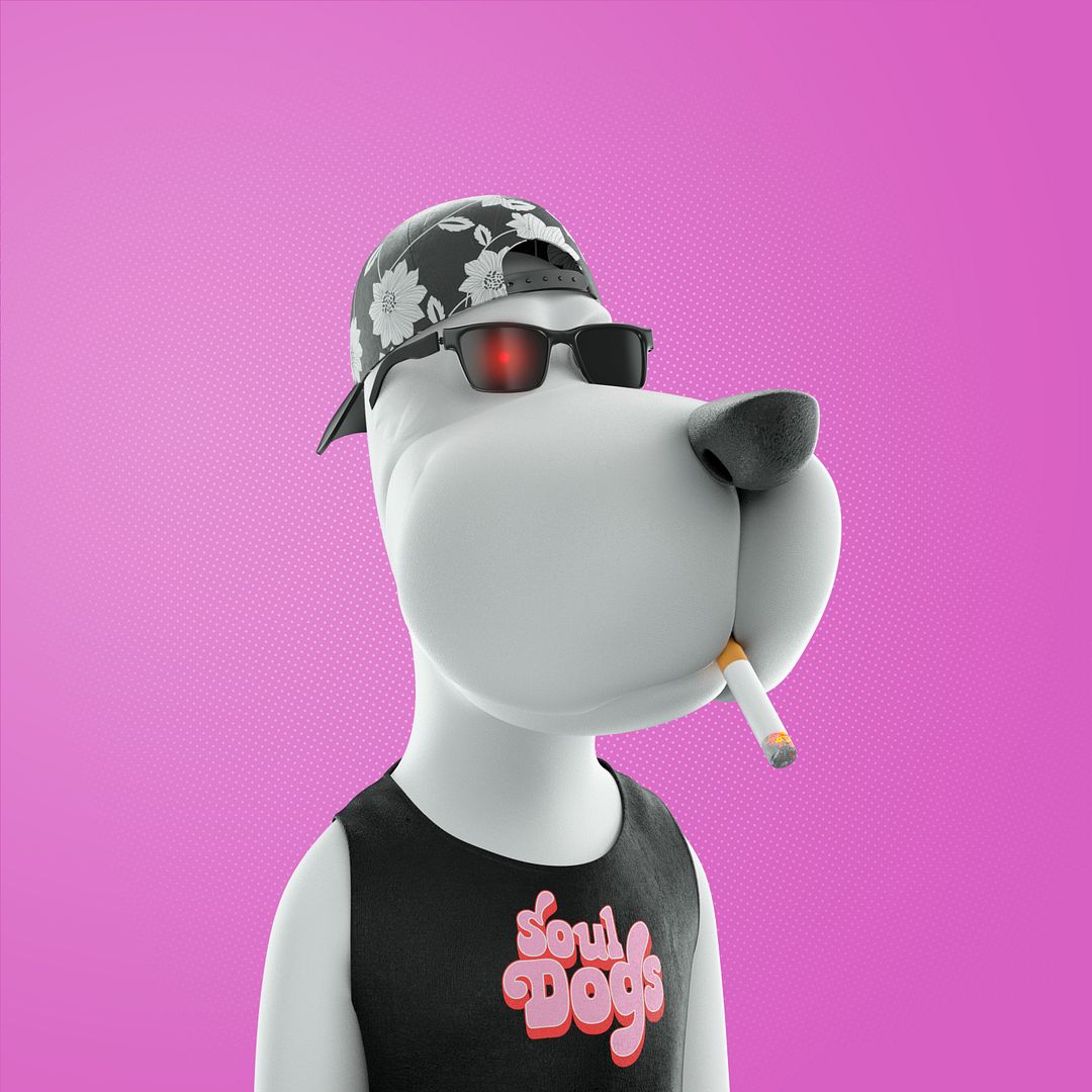 CoolDog