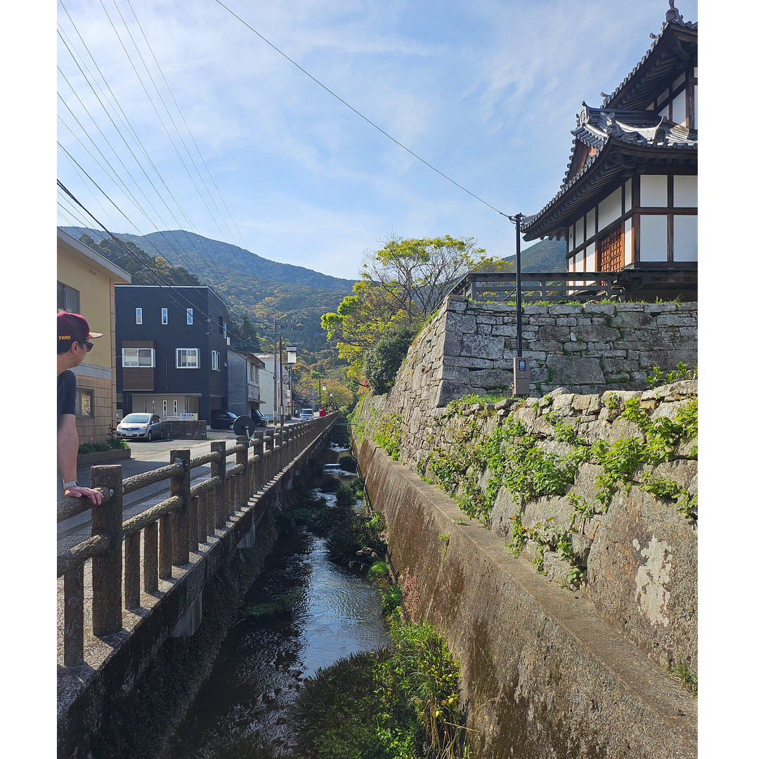 Morning in Tsushima. 대마도의 아침