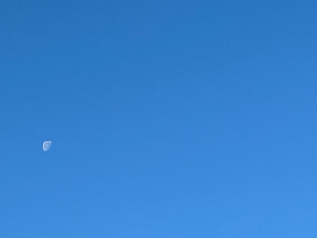 the morning moon