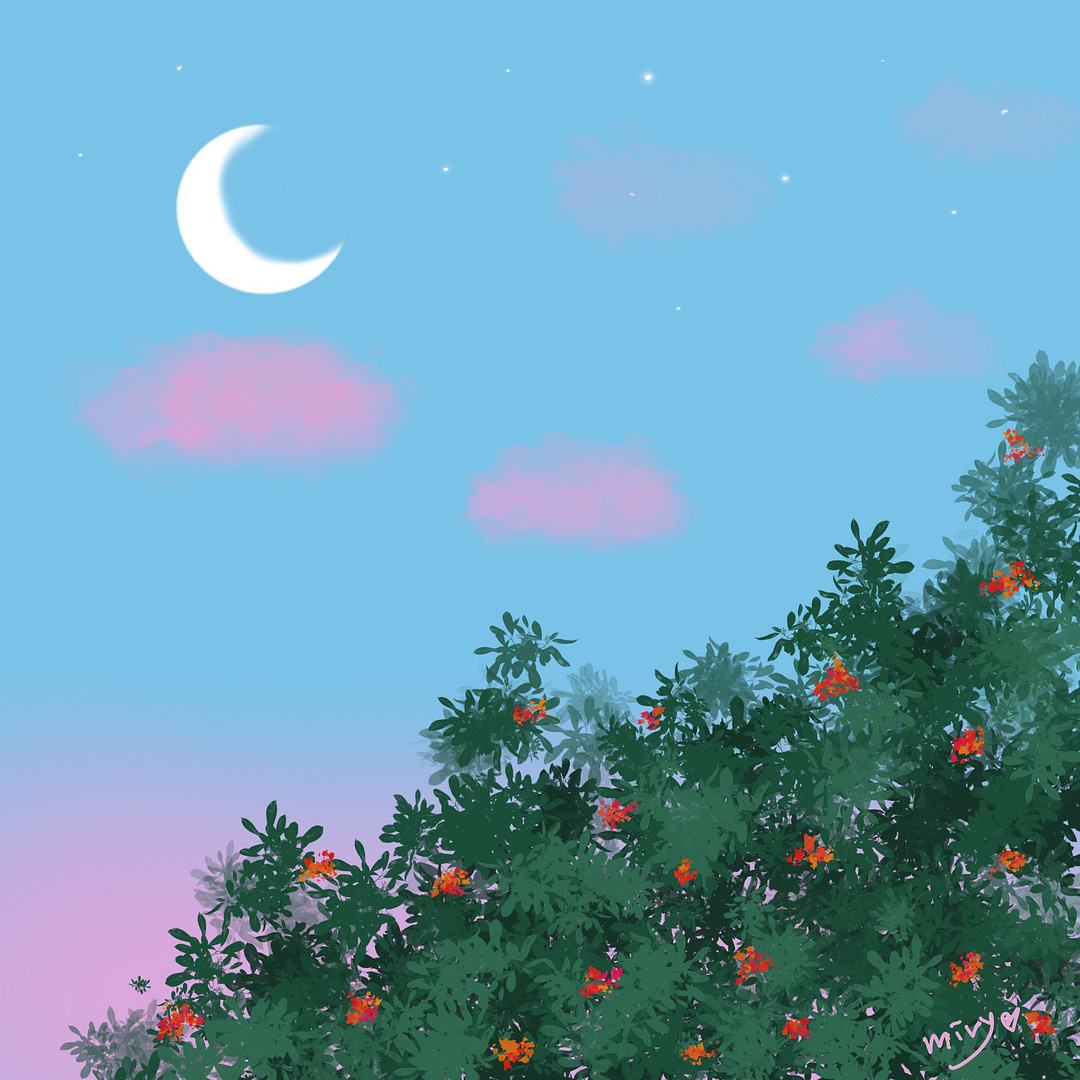 여름밤(a summer night)