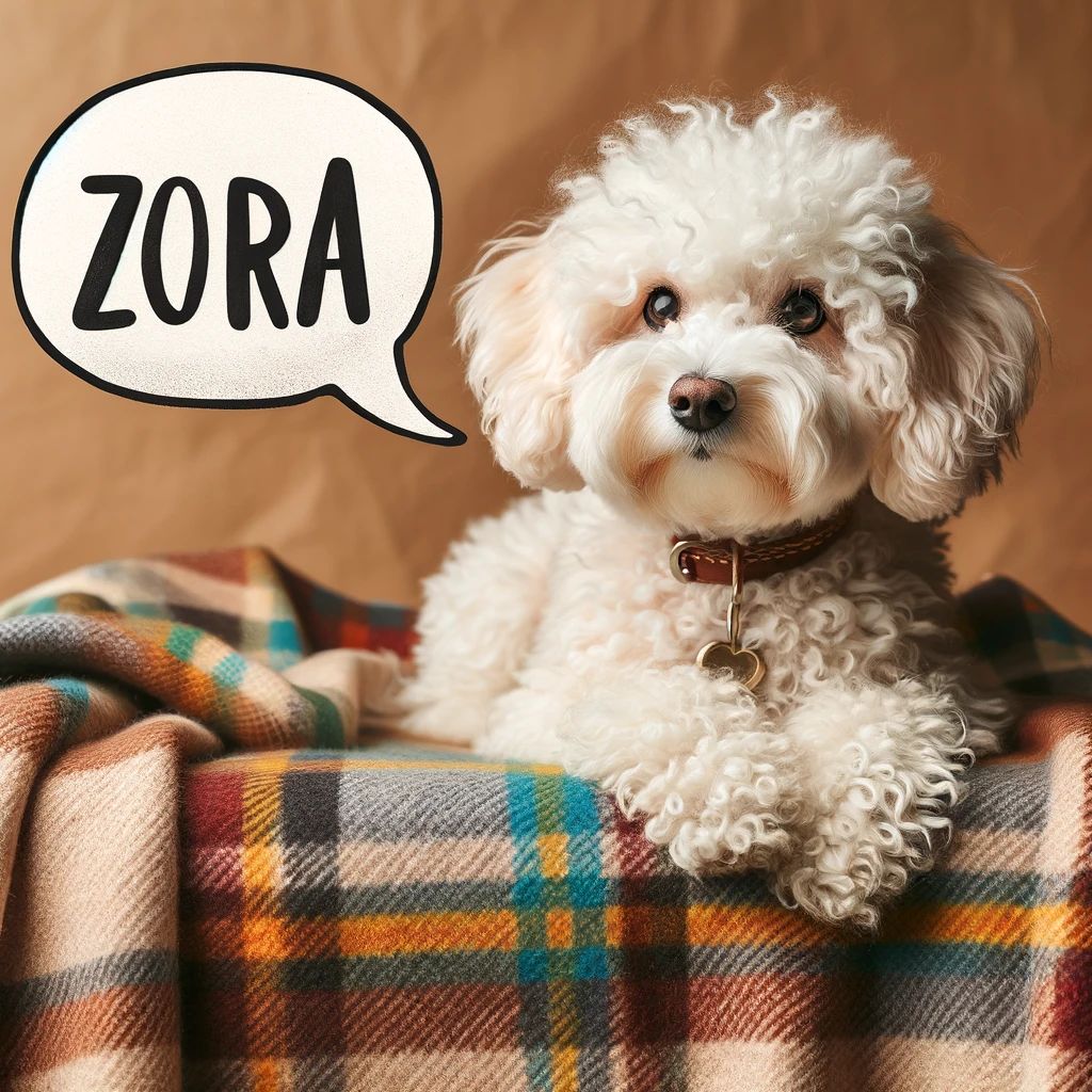 dog zora..