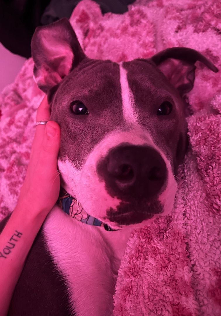 puppy love
