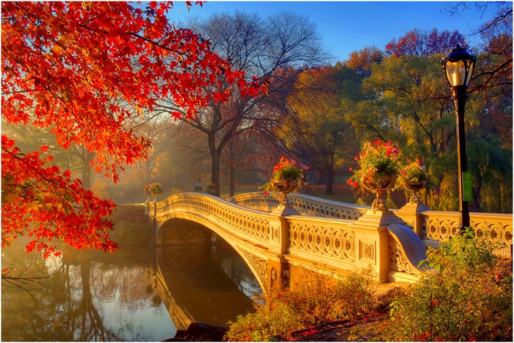 Autumn Bridge