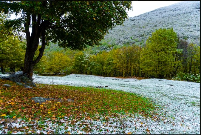 Autumn nature