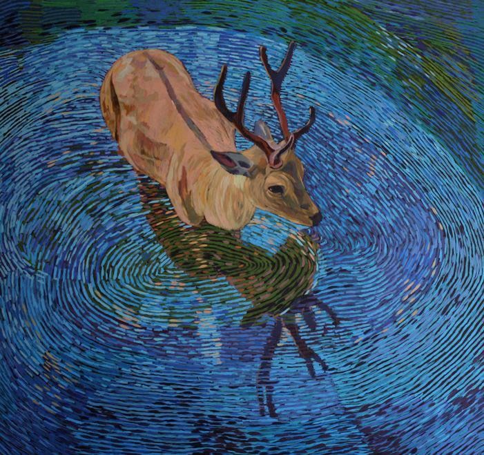 picture of a deer in the water