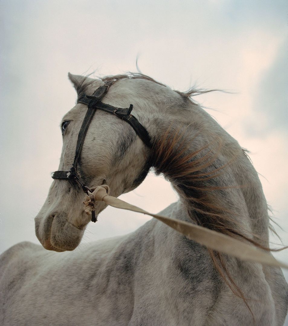 Space and Steppe by Baurjan Bismildin