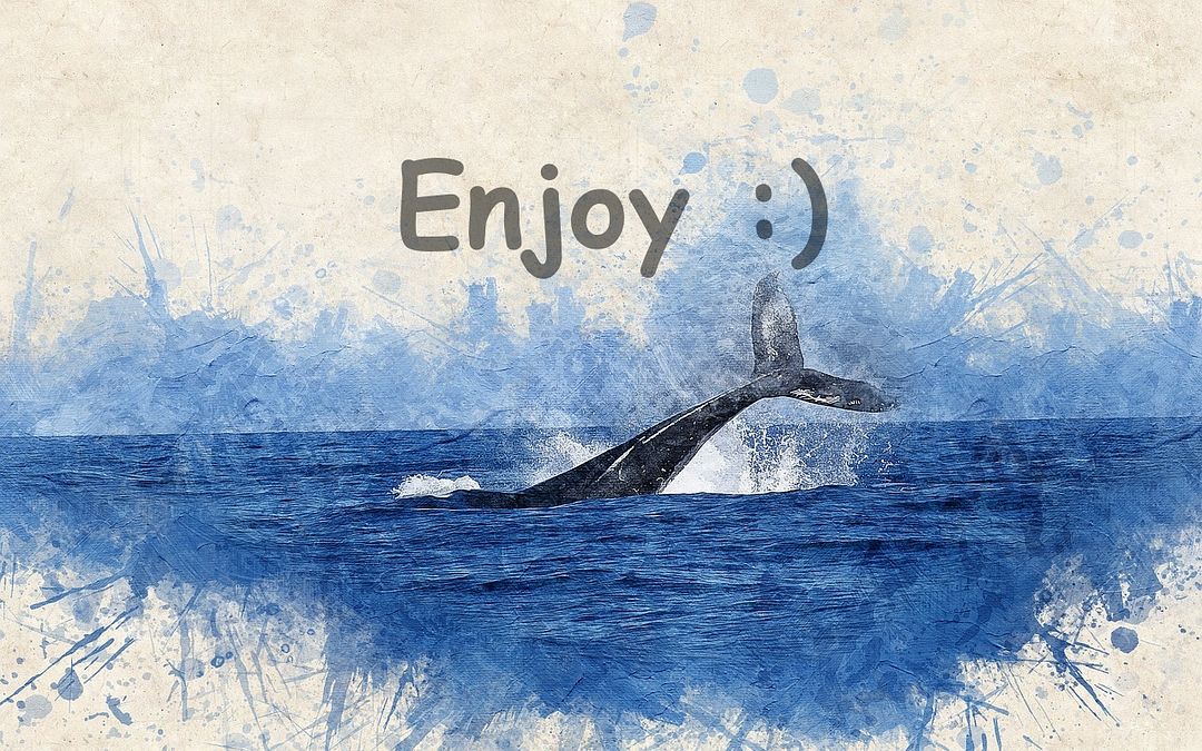 Enjoy Whale 3