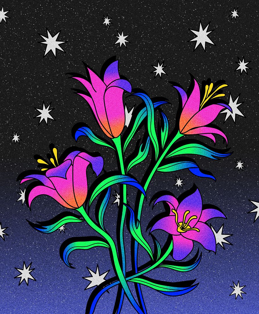 Night Bloom