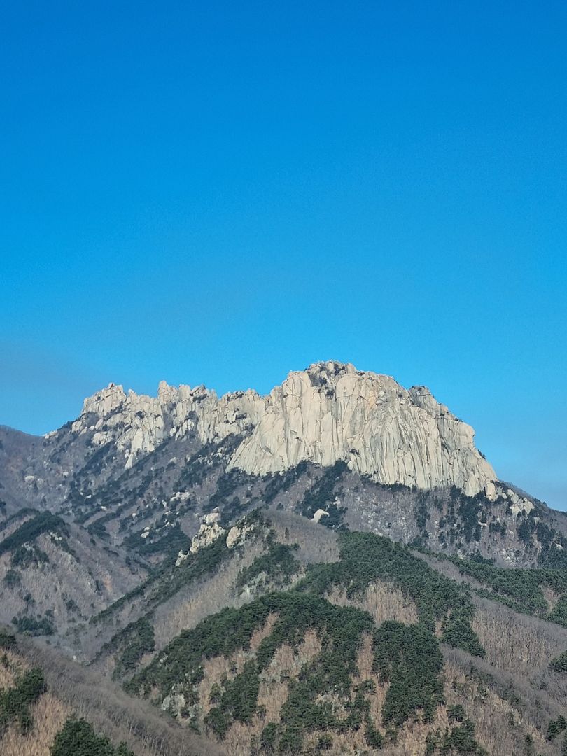 울산바윙~~