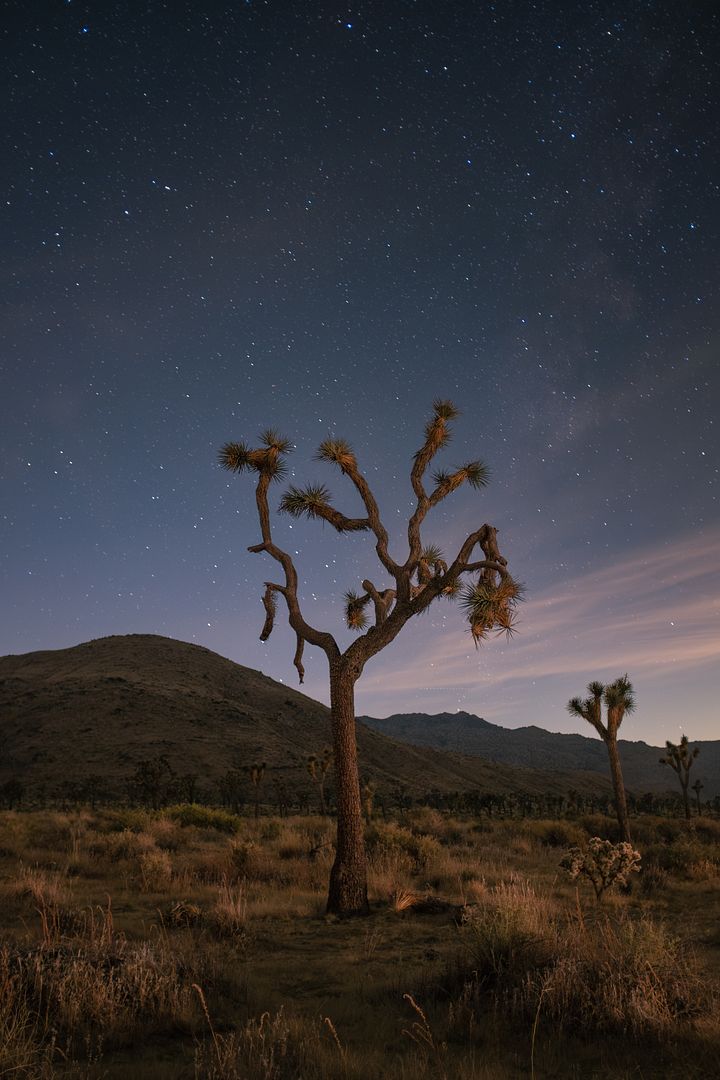 under the moonlight in the high desert, 2023