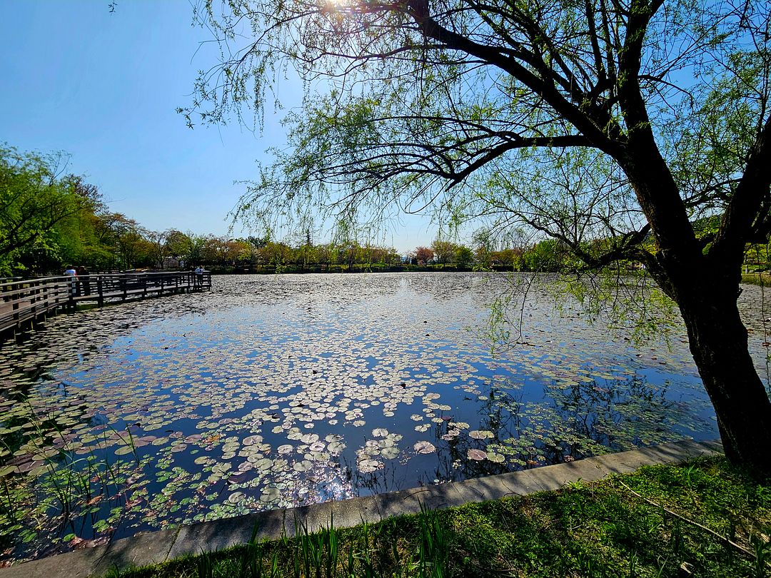 Lake of Love