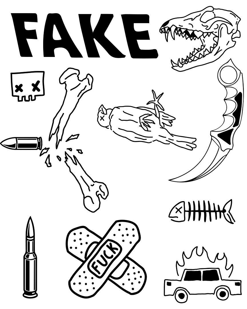 FAKE