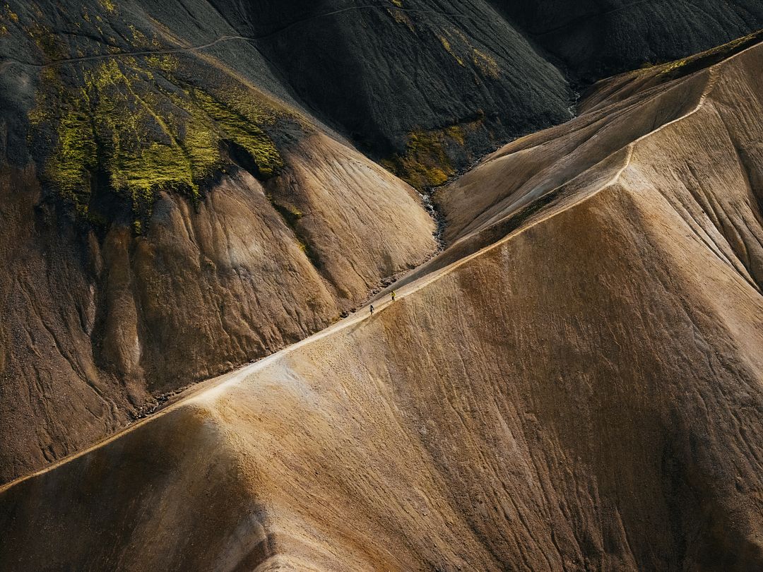 a view of a mountain with a yellow tree growing on it