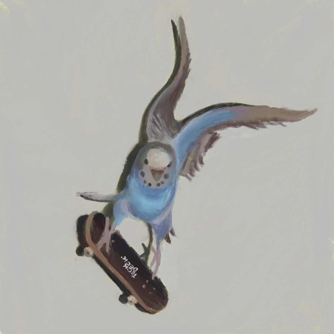 Skater Bird ✶