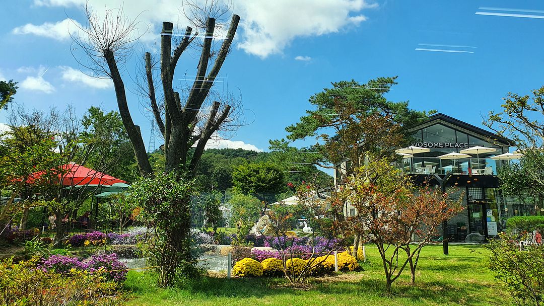 the cafe garden