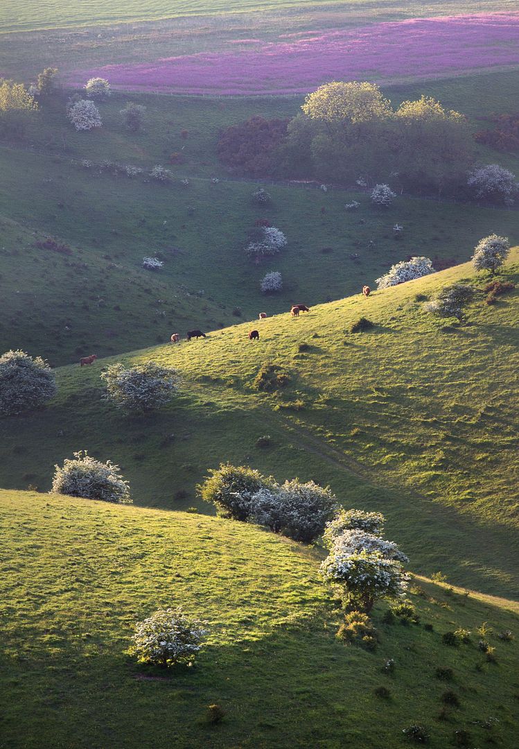 Peaceful Valley