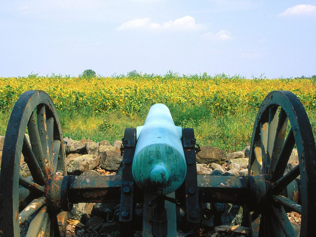 Union Cannon Standing Guard