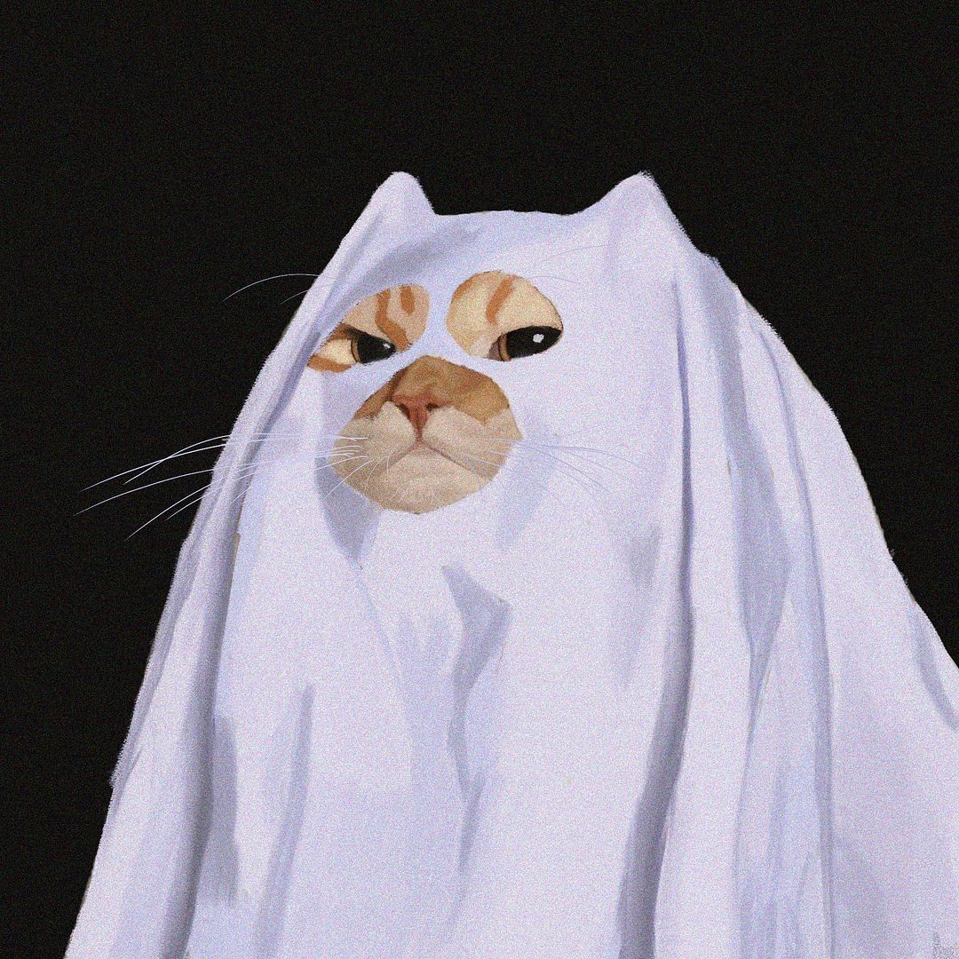 Ghost cat