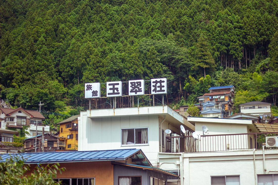 静かな緑の風景