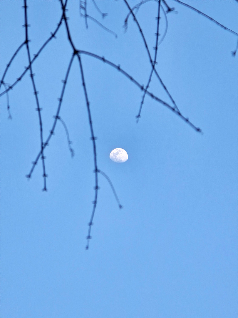 Moon