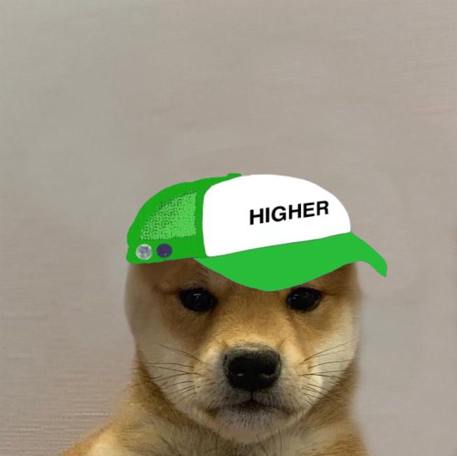 dog wif higher hat