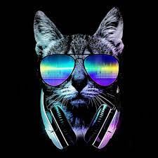 dj Cat