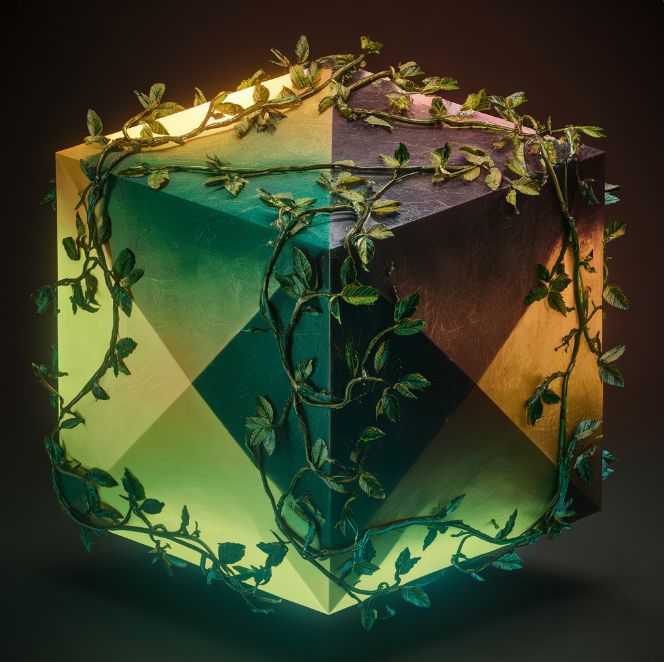 plant cube