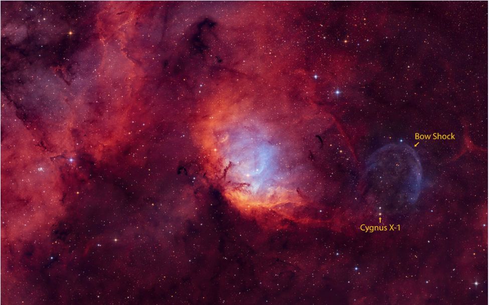 Tulip Nebula and Black Hole Cygnus X-1